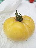 20 graines de BIO Brandywine JAUNE Tomate Rare Heirloom beefsteak non - OGM frais