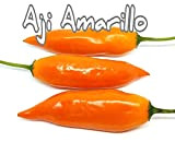 (25+) Aji Amarillo Pepper Seeds