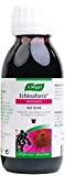 A. VOGEL - Hot drink Echinaforce® - Complément Alimentaire à Base d'Extrait de Plante Fraîche d’Échinacée Bio - Préparation pour ...