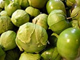 AGROBITS 50Tomatillo Verde Heirloom FreshDelicious vert Husk Salsa Toma