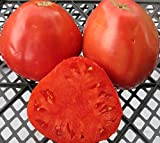 AGROBITS tomates tomates BUFFALO HEARTRed organicUkraine 20D