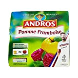 Andros Dessert pomme et framboise - Les 4 pots de100g