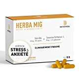 Anti stress et anxiété – Innovation cliniquement prouvée – HerbaMig 30 gélules - 1 mois – Grande camomille titrée + ...