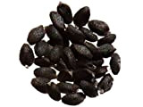 Basilic Thaï - 0,50 grammes - Ocimum Basilicum - Thaï Basil - SEM26