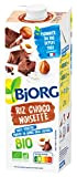 Bjorg Boisson Riz Choco Noisettes – Boisson végétale Bio – 1 L - Lot de 2