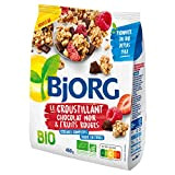 BJORG - Croustillant Chocolat Noir & Fruits Rouges - Céréales Complètes - Riche En Fibres - 450G