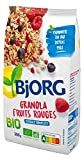 BJORG - Granola Fruits Rouges - Aux Céréales Complètes Pour le Petit Déjeuner - Riche en Fibres - 6 Boîtes ...