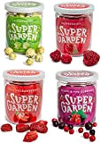 Boîte à collation Grandma’s Garden de Super Garden - baies & fruits lyophilisés - collation saine - 100 % pur et ...