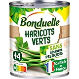 Bonduelle Haricots Verts Extra Fins sans Résidu de Pesticides, 440g