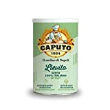 Caputo Lievito Secco 1 paquet de 100 grammes / Qualité Premium d'Italie / Riche en protéines. 0.10 kg 100.00 ml
