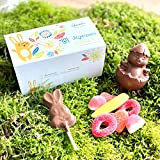 CHOCOLAT DE PAQUES - BOX SURPRISE ENFANT PAQUES CONTENANT UN POUSSIN EN CHOCOLAT UNE SUCETTE LAPIN EN CHOCOLAT UN SACHET ...