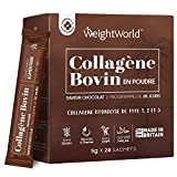 Collagène Hydrolisé Bovin Saveur Chocolat en Poudre Soluble - 4000mg Peptides de Collagène de Type 1, 2 et 3 - ...