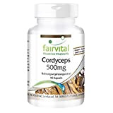 Cordyceps 500mg VEGAN - Fortement dosé - 90 capsules - Cordyceps sinensis - champignon chenille