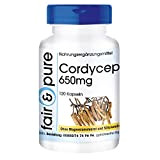Cordyceps 650mg (Cordyceps sinensis) - poudre naturelle de champignons - végan - 120 gélules