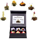 Creano Coffret Cadeau Avec Fleurs de Thé dans une Boîte Magnétique, "The blanc et noir" | 6 Fleurs de Thé ...