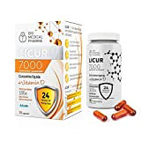 Curcumine liquide avec vitamine D NovaSOL® | Biodisponibilité 185x supérieure sans pipérine | 1 gélule par jour | correspond à ...