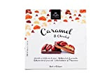 DOLFIN Caramels & Chocolats – Chocolat au Lait & Noix de Pécan - Caramel au Beurre Salé Maison, Noix Caramélisées- ...