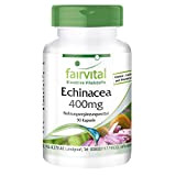 Echinacea 400mg VEGAN - Fortement dosé - 90 capsules - Echinacea purpurea
