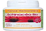 France Herboristerie Echinacea Racine Bio 250 mg 100 Gélules