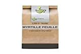 France Herboristerie Tisane Myrtille Feuille