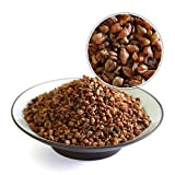 GOARTEA 250g (8.8 Oz) Organic Premium Roasted Natural Soba Health Beauty " Black Tartary Buckwheat Grain Herbal Tea