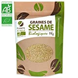 Graines de Sésame Bio - 1kg (Sesamum indicum) - Blond - Complet