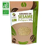 Graines de Sésame Bio - 500g (Sesamum indicum) - Blond - Complet