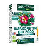 Harpagophytum Bio 2000 - Articulations Douloureuses, Souplesse, Mobilité - Complément alimentaire fortement dosé - 2000mg/jour - 20 ampoules - Made ...