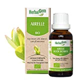 HerbalGem|Airelle Bio|Macérats-Mères de Gemmothérapie Concentrée|30 ml