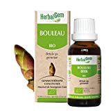 Herbalgem | Bouleau BIO | Gemmothérapie Concentrée | Bourgeons de Bouleau | 50 ml