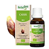Herbalgem - Gemmothérapie Cassis (Ribes Nigrum Gemnae) 50Ml (Bio)