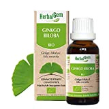HerbalGem | Ginkgo Biloba Gemmae | Le bourgeon du la circulation cérébrale | 50 ml