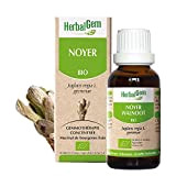 HerbalGem - Noyer Bio - Macérats-Mères de Gemmothérapie Concentrée - 30 ml