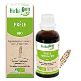 HerbalGem | Prêle Bio | Macérats-Mères de Gemmothérapie Concentrée | 30 ml