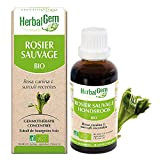 HerbalGem|Rosier Sauvage Bio|Macérats-Mères de Gemmothérapie Concentrée|30 ml
