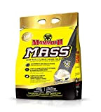 Interactive Nutrition Mammoth Mass Glace Vanille 15 Lbs
