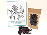 Irish Dulse Dried 100 grams Organic, From Emerald Isle Seaweed Organic certification by Emerald isle Seaweed