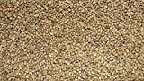 Jalpur - Graines de Millet entier (Bajri entier) – 1 kg