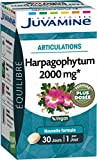 JUVAMINE - Articulations - Harpagophytum 2000 mg - 30 Comprimés