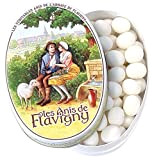 Les Anis de Flavigny - Bonbons Anis - Boîte ovale 50g