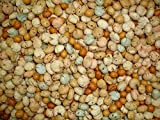 Mélange Apéritif de 8 variétés d'arachides salées 1kg | Arachides enrobées de maïs et graines de sésame et blé frit ...