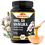 Miel de Manuka 800+ MGO de 500 gr. Produit en Nouvelle-Zélande. Actif et brut, pur et naturel. Méthylglyoxal testé par ...