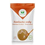 Natural Probio® Original Kombucha Scoby - Kit de démarrage de Culture - Mere de Kombucha de souche Authentique + Notice ...