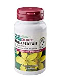 NaturesPlus - Millpertuis 233mg 60 comprimés - Libération Prolongée - extrait de plante standardisée à 0,3% d'hypéricine - Luttez contre ...