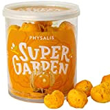 Physalis lyophilisés Super Garden - collation saine - 100 % pur et naturel - convient aux végétaliens - sans sucre ajouté, ...