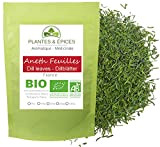 Plantes & Epices - Aneth BIO entier en feuille herbe aromatique, idéal en cuisne (100g)