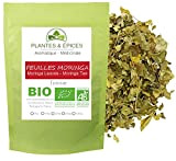 Plantes & Epices - Feuilles de Moringa Oleifera BIO, idéal pour Infusion, Tisane, Soupes ou Salades (250g)