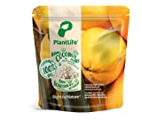PlantLife Noix de Coco séchées BIO 1kg - séchées au soleil, sans additifs et noix de coco naturelle - 100% ...