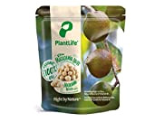 PlantLife Noix de macadamia BIO 1kg – Noix de macadamia brutes, particulièrement grosses et non traitées