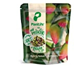 PlantLife Pistaches BIO 1kg – Pistaches brutes, décortiquées, non grillées et non salées